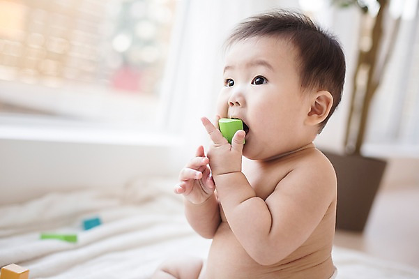 포토 JPG 스튜디오촬영 응시 남자 놀이 실내 한명 사람 앉기 동양인 아웃포커스 장난감 귀여움 블록 한국인 아기 담요 즐거움 아기만 남자아기만 남자아기한명만 국내포토 1 시선 감정 컨셉 모션 촬영기법 인종 내부 남자만 남자한명만 파일형식