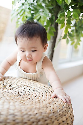 포토 JPG 스튜디오촬영 나무 식물 남자 화분 실내 한명 서기 사람 동양인 바구니 귀여움 한국인 아기 잡기 뜨개옷 아기만 남자아기만 남자아기한명만 국내포토 1 옷 컨셉 모션 인종 내부 남자만 남자한명만 파일형식