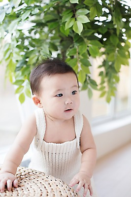 포토 JPG 스튜디오촬영 나무 식물 남자 화분 실내 한명 서기 사람 동양인 바구니 귀여움 한국인 아기 잡기 뜨개옷 아기만 남자아기만 남자아기한명만 국내포토 1 옷 컨셉 모션 인종 내부 남자만 남자한명만 파일형식