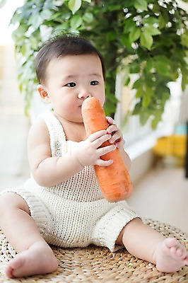 포토 JPG 스튜디오촬영 남자 채소 실내 한명 사람 앉기 동양인 귀여움 당근 한국인 아기 먹기 뜨개옷 아기만 남자아기만 남자아기한명만 국내포토 1 옷 컨셉 모션 뿌리채소 인종 내부 남자만 남자한명만 파일형식