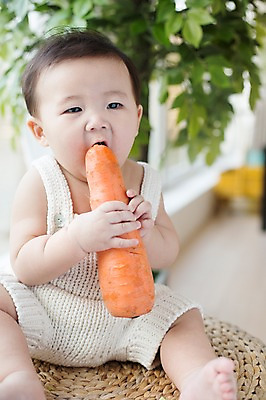 포토 JPG 스튜디오촬영 남자 채소 실내 한명 사람 앉기 동양인 귀여움 당근 한국인 아기 먹기 뜨개옷 아기만 남자아기만 남자아기한명만 국내포토 1 옷 컨셉 모션 뿌리채소 인종 내부 남자만 남자한명만 파일형식