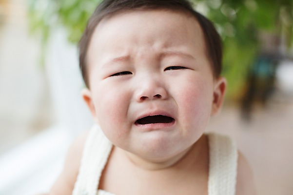 포토 JPG 스튜디오촬영 남자 실내 표정 한명 사람 동양인 상반신 귀여움 한국인 아기 울음 뜨개옷 아기만 남자아기만 남자아기한명만 국내포토 1 옷 컨셉 인종 내부 남자만 남자한명만 파일형식