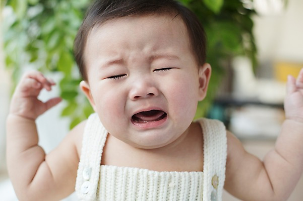 포토 JPG 스튜디오촬영 남자 실내 표정 한명 사람 동양인 상반신 귀여움 한국인 아기 울음 뜨개옷 아기만 남자아기만 남자아기한명만 국내포토 1 옷 컨셉 인종 내부 남자만 남자한명만 파일형식