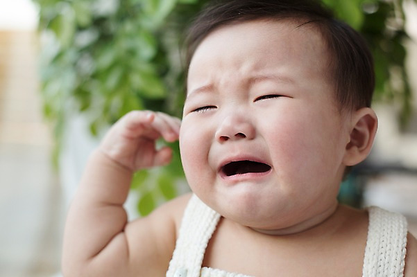 포토 JPG 스튜디오촬영 남자 실내 표정 한명 사람 동양인 상반신 귀여움 한국인 아기 울음 뜨개옷 아기만 남자아기만 남자아기한명만 국내포토 1 옷 컨셉 인종 내부 남자만 남자한명만 파일형식