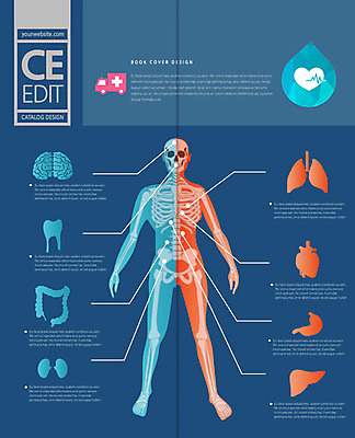 PSD 템플릿 편집 표지디자인 북디자인 출판디자인 내지 리플렛 백그라운드 십자가 신체 2단접지 북커버 인체모형 자동차 뼈 건강 병원 팜플렛 사람없음 치료 하트 심장 혈액 허파 치아 맥박 장기 질병 구급차 뇌 간 대장 위장 이미지템플릿 모양 육상교통 의학 모형 소화기관 장기_의학 호흡기관 파일형식