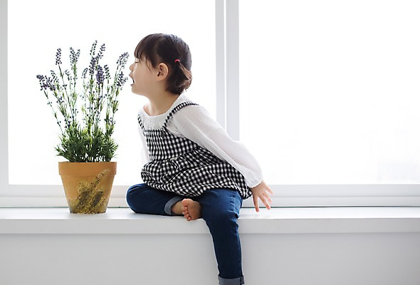 포토 JPG 스튜디오촬영 전신 라이프스타일 여자 꽃 딸 화분 어린이 창문 모션 실내 한명 사람 앉기 동양인 소녀 옆모습 귀여움 한국인 가족라이프 창가 천진난만 소녀한명만 딸바보 국내포토 식물 1 뷰포인트 컨셉 가족 인종 내부 생활 여자한명만 소녀만 파일형식