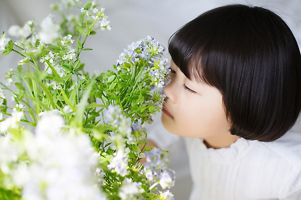 포토 JPG 스튜디오촬영 라이프스타일 여자 꽃 딸 화분 어린이 모션 실내 한명 사람 앉기 동양인 소녀 상반신 옆모습 귀여움 한국인 가족라이프 향기 천진난만 소녀한명만 딸바보 국내포토 식물 1 뷰포인트 컨셉 가족 인종 내부 생활 냄새 여자한명만 소녀만 파일형식