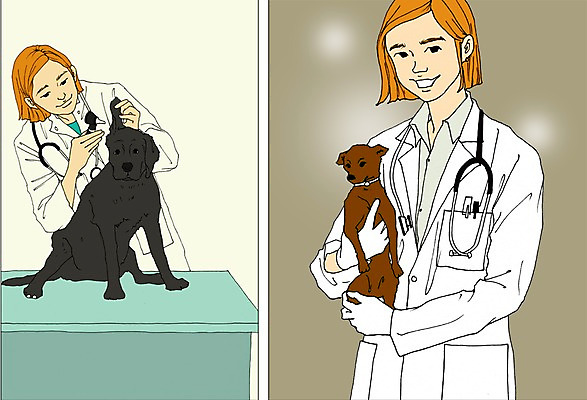 PSD 동물 직업 여자 일러스트 청진기 사람 성인 두명 반려동물 가운 의사가운 강아지 만화 열정 수의사 아트툰 성인여자만 국내일러스트 옷 감정 의료기기 의사 개 그림 여자만 성인만 파일형식