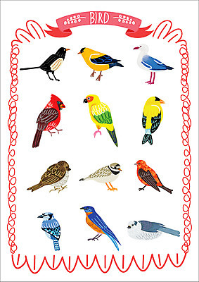 동물 스티커 일러스트 갈매기 조류 웹소스 종류 사람없음 세트 앵무새 까치 참새 아기자기 국내일러스트 AI파일 컨셉 파일형식 벡터 편집소스