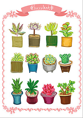 식물 화분 스티커 일러스트 웹소스 선인장 종류 사람없음 세트 다육식물 아기자기 국내일러스트 AI파일 컨셉 파일형식 벡터 편집소스