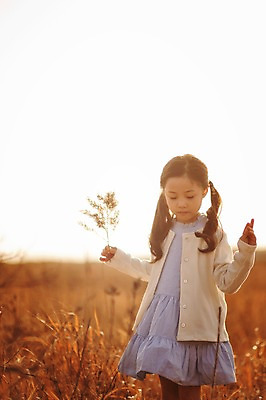 포토 JPG 주간 라이프스타일 여자 딸 어린이 모션 하늘 갈대 한명 서기 들기 사람 동양인 소녀 상반신 야외 앞모습 일출 노을 일몰 한국인 가족라이프 충청남도 갈대밭 태안 신두리해안사구 소녀한명만 국내포토 자연요소 식물 1 뷰포인트 가족 인종 생활 모래언덕 충청도 여자한명만 소녀만 파일형식 갈대_식물
