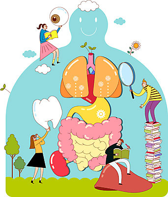 학생 여자 교육 남자 신체 일러스트 돋보기 사람 여러명 성인 허파 치아 장 장기 눈동자 간 열정 위장 안구 성인만 국내일러스트 AI파일 감정 다수 신체부위 눈_신체부위 소화기관 장기_의학 호흡기관 파일형식 벡터