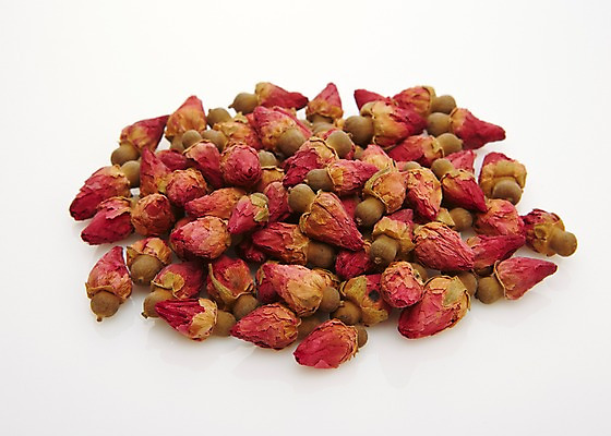 포토 JPG 스튜디오촬영 재료 실내 사람없음 장미 한의학 한약재 한약 건강식품 국내포토 꽃 음식 의학 건강 내부 약 약재 파일형식