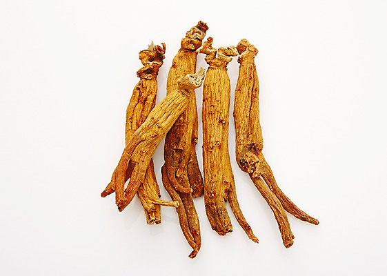 포토 JPG 스튜디오촬영 재료 실내 사람없음 한의학 한약재 삼 한약 건강식품 홍삼 국내포토 음식 채소 의학 건강 내부 약 약재 파일형식