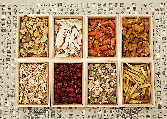 포토 JPG 스튜디오촬영 재료 건조 실내 건강 사람없음 한의학 한약재 한약 대추 건강식품 감초 도라지 둥굴레 백출 오가피 작약 치자 국내포토 꽃 음식 의학 내부 약 약재 파일형식