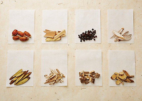 포토 JPG 스튜디오촬영 종이 재료 건조 실내 건강 사람없음 한의학 한약재 한약 건강식품 도라지 백출 오가피 오미자 작약 치자 헛개나무 국내포토 꽃 음식 의학 내부 약 약재 파일형식