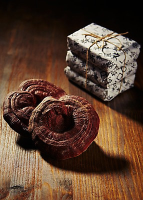 포토 JPG 스튜디오촬영 재료 실내 건강 사람없음 한의학 한약재 한약 건강식품 약봉지 영지 영지버섯 국내포토 음식 의학 내부 약 버섯 약재 파일형식