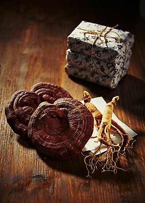 포토 JPG 스튜디오촬영 재료 실내 건강 사람없음 한의학 한약재 삼 한약 건강식품 수삼 약봉지 영지 영지버섯 국내포토 음식 채소 의학 내부 약 버섯 약재 파일형식