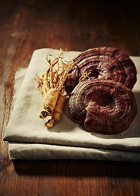 포토 JPG 스튜디오촬영 재료 실내 건강 사람없음 한의학 한약재 삼 한약 삼베 건강식품 수삼 영지 영지버섯 국내포토 음식 채소 의학 내부 약 버섯 약재 파일형식 천_직물