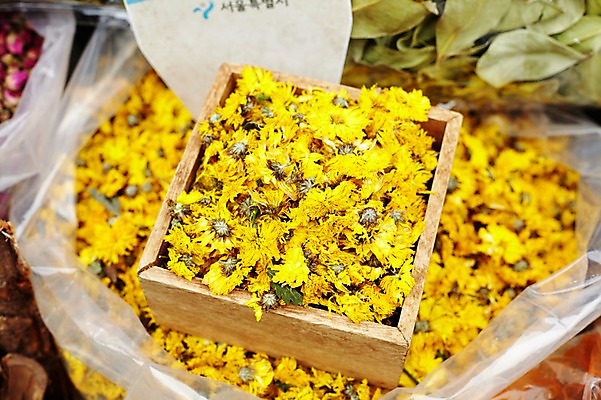 포토 JPG 스튜디오촬영 꽃 재료 건조 국화 실내 사람없음 한의학 한약재 한약 건강식품 국내포토 식물 음식 의학 건강 내부 약 약재 파일형식