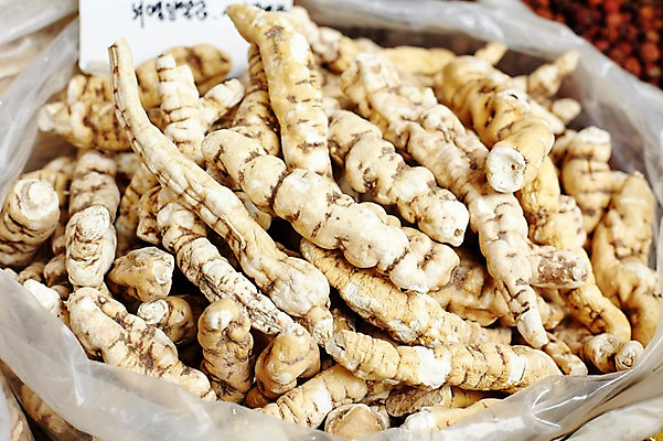 포토 JPG 스튜디오촬영 재료 실내 사람없음 한의학 한약재 한약 건강식품 국내포토 음식 의학 건강 내부 약 약재 파일형식