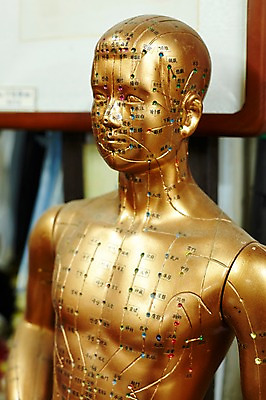 포토 JPG 재료 실내 사람없음 모형 피규어 한의학 마네킹 한약 건강식품 수지침 혈자리 국내포토 음식 의학 건강 내부 약 미니어처 파일형식