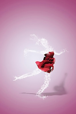 JPG 편집 편집이미지 여자 포즈 순간포착 한명 사람 성인 점프 화려 우아함 디지털합성 디지털아트 스플래쉬 여자만 여자한명만 성인여자만 성인만 편집실사 1 컨셉 모션 촬영기법 CG 파일형식