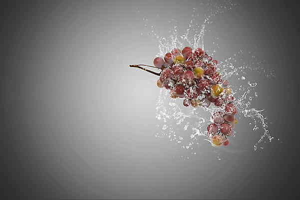 JPG 편집 편집이미지 과일 포도 사람없음 화려 우아함 디지털합성 디지털아트 스플래쉬 편집실사 컨셉 CG 파일형식