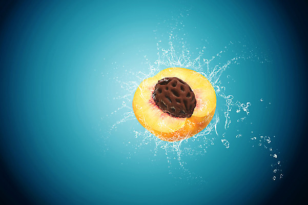 JPG 편집 편집이미지 과일 단면 씨앗 사람없음 화려 우아함 디지털합성 복숭아 디지털아트 스플래쉬 편집실사 식물 컨셉 CG 파일형식