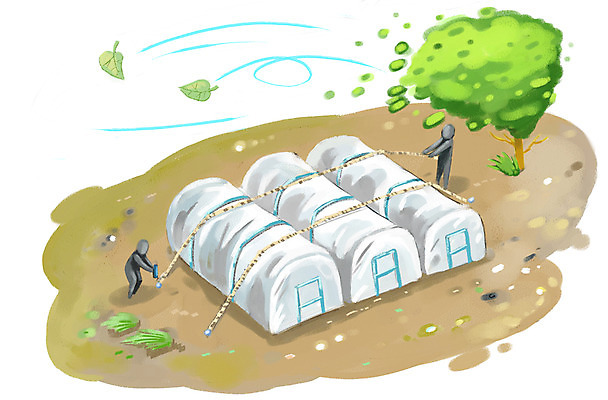 PSD 나무 식물 밧줄 일러스트 나뭇잎 사람 두명 환경 위험 자연재해 비닐하우스 태풍 강풍 국내일러스트 줄 컨셉 잎 농업 바람 재해 파일형식