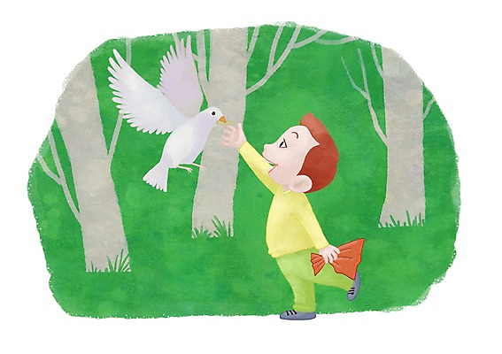 전신 PSD 나무 식물 남자 어린이라이프 어린이 일러스트 한명 사람 소년 잔디 숲 모이 비둘기 소년한명만 국내일러스트 1 라이프스타일 조류 먹이 남자한명만 소년만 파일형식