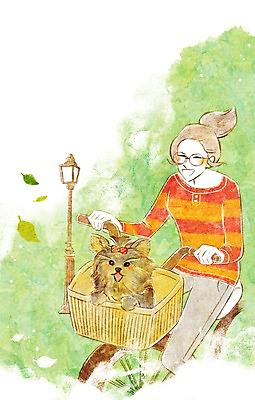 PSD 동물 한마리 여자 행복 가로등 일러스트 함께함 한명 사람 성인 반려동물 바구니 귀여움 자전거 산책 강아지 요크셔테리어 동물보호 국내일러스트 1 공공시설 감정 컨셉 휴식 바이크 개 테리어 사회이슈 파일형식