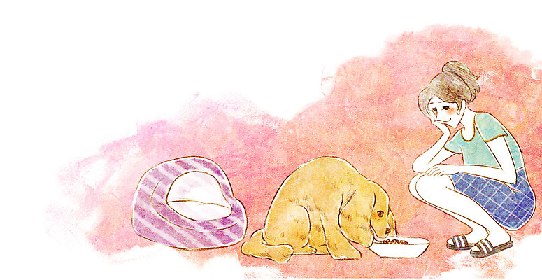 PSD 동물 한마리 여자 행복 일러스트 함께함 한명 사람 성인 반려동물 귀여움 코커스패니얼 강아지 먹이 동물보호 개집 국내일러스트 1 감정 컨셉 스패니얼 개 사회이슈 애견용품 파일형식