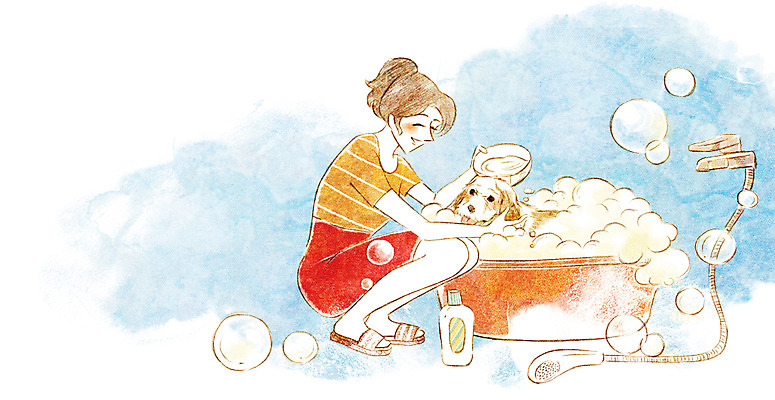 PSD 동물 한마리 여자 행복 일러스트 함께함 한명 사람 성인 반려동물 귀여움 목욕 거품 강아지 샤워기 동물보호 대야 샴푸 국내일러스트 1 감정 컨셉 위생용품 청결 개 사회이슈 파일형식