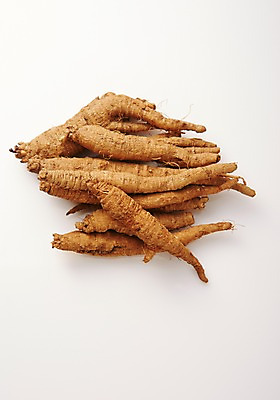 포토 JPG 스튜디오촬영 음식 식재료 실내 사람없음 건강식품 더덕 제철 제철음식 국내포토 건강 내부 파일형식