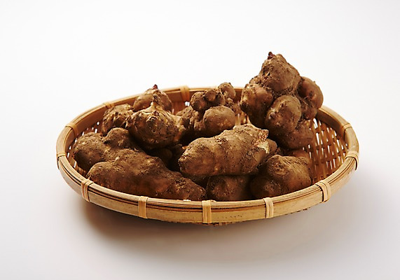 포토 JPG 스튜디오촬영 음식 채소 식재료 실내 사람없음 소쿠리 돼지감자 국내포토 감자 내부 바구니 파일형식