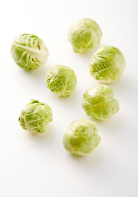 포토 JPG 스튜디오촬영 음식 채소 식재료 실내 사람없음 양배추 방울양배추 국내포토 내부 파일형식