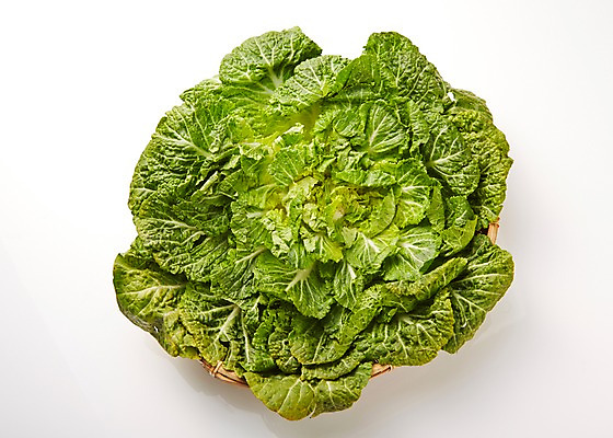 포토 JPG 스튜디오촬영 음식 채소 식재료 실내 사람없음 봄동 국내포토 내부 파일형식