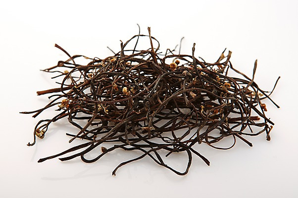 포토 JPG 스튜디오촬영 음식 식재료 건조 실내 사람없음 나물 고사리 산나물 국내포토 채소 내부 파일형식