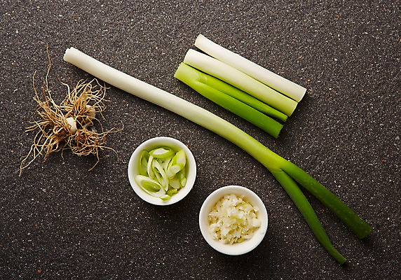 포토 JPG 스튜디오촬영 음식 채소 식재료 실내 사람없음 레시피 파 대파 파뿌리 국내포토 내부 뿌리 파일형식