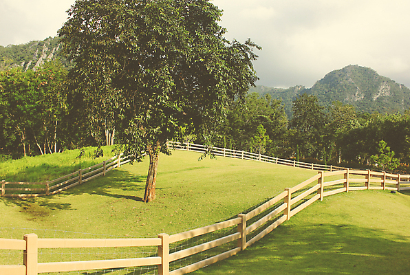 포토 JPG 해외이미지 나무 계절 여행 잎 농업 자연 지붕 풍경 사람없음 야외 목재 초록색 여름 울타리 농장 농경지 갈색 정원 맑음 봄 수확 시골 향수 복고 지역 땅바닥 수목 옛날 필터 효과 해외202004 해외포토 식물 산업 컬러 재료 날씨 바닥 담장 화장품 생태계 파일형식 이미지허브