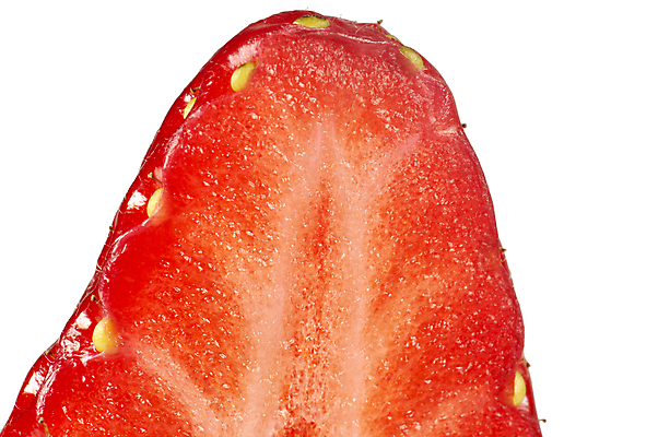 포토 JPG 해외이미지 접시 열매 음식 조각 과일 자연 딸기 디저트 건강 사랑 씨앗 사람없음 빨간색 초록색 카페 신선 달콤 굽기 먹기 크림 상쾌 건강식 해외202004 해외포토 식물 식기 감정 컬러 모션 상점 맛 구이 생태계 파일형식 이미지허브