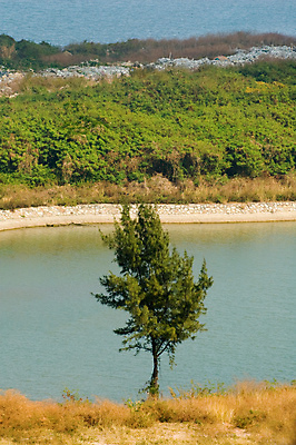 포토 JPG 해외이미지 나무 공원 호수 잎 자연 풍경 사람없음 야외 초록색 물 평화 침묵 소나무 숲 장면 내추럴 생태학 해외202004 해외포토 자연요소 식물 공공시설 교육 컬러 컨셉 소리 생태계 파일형식 이미지허브
