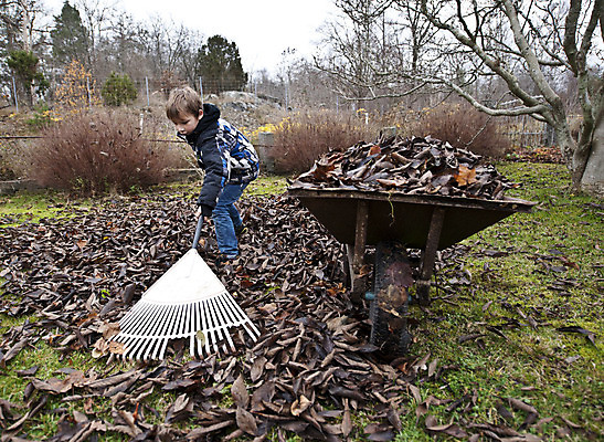 포토 JPG 해외이미지 나무 계절 어린이 잎 자연 한명 소년 잔디 야외 초록색 쌓기 수레 모임 가을 업무 11월 청소 수집 원예 흙더미 10월 갈퀴 땅바닥 해외202004 해외포토 식물 1 남자 컬러 모션 바닥 사람 취미 흙 카트 작업 날짜 생태계 파일형식 더미 이미지허브