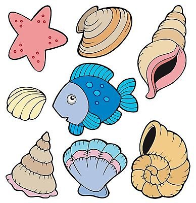EPS 해외이미지 클립아트 동물 디자인 별 야생동물 바다 일러스트 자연 조개 불가사리 어류 미술 그래픽 물 세트 컬러풀 껍질 그리기 만화 수집 묘사 오브젝트 그림 생물학 지느러미 가리비 내추럴 고립 동물상 소금물 엘리먼트 해외202004 해외일러스트 자연요소 교육 컬러 모션 문화예술 어패류 극피동물 조형물 수중동물 생태계 파일형식 벡터 이미지허브