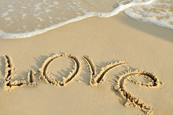 포토 JPG 해외이미지 모양 감정 모래 파도 바다 섬 컨셉 패턴 텍스트 자연 조류 추상 아이디어 발렌타인데이 사랑 풍경 사람없음 야외 물 여름 단어 우주 기록 감각 메시지 황금 가장자리 인쇄 비밀 편지 싱글 개성 해외202004 해외포토 자연요소 동물 문자 계절 무늬 데이이벤트 둘레 생태계 파일형식 이미지허브