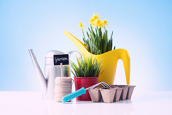 포토 JPG 해외이미지 식물 꽃 화분 장갑 잎 농업 자연 사람없음 노란색 흙 봄 장비 공구 모종삽 삽 허브 물주기 원예 수선화 로즈메리 돌봄 세이지 많음 해외202004 해외포토 잡화 계절 산업 컬러 컨셉 모션 취미 도구 생태계 파일형식 이미지허브