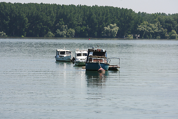 포토 JPG 해외이미지 호수 파도 바다 여행 요트 교통시설 모션 자연 하늘 휴가 항해 사람없음 물 여름 파란색 강 햇빛 태양 항구 힘 만 보트 재산 고급 떨어짐 크루즈 갑판 속도 함선 수로 분무기 모터보트 스카이라인 모터 해외202004 해외포토 자연요소 계절 컬러 교통 컨셉 배_교통 금융 시설 생태계 파일형식 이미지허브