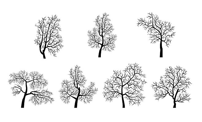 EPS 해외이미지 나무 식물 디자인 실루엣 일러스트 검은색 나뭇가지 고립 해외202004 해외일러스트 컬러 촬영기법 파일형식 벡터 이미지허브