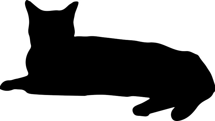 EPS 해외이미지 모양 동물 디자인 실루엣 백그라운드 일러스트 포유류 자연 털 미술 앉기 그래픽 반려동물 검은색 고양이 할로윈 흰색 만화 심볼 사인 흰배경 그림 꼬리 마녀 클립 윤곽 마법 고립 엘리먼트 해외202004 해외일러스트 컬러 모션 문화예술 촬영기법 생태계 파일형식 벡터 이미지허브